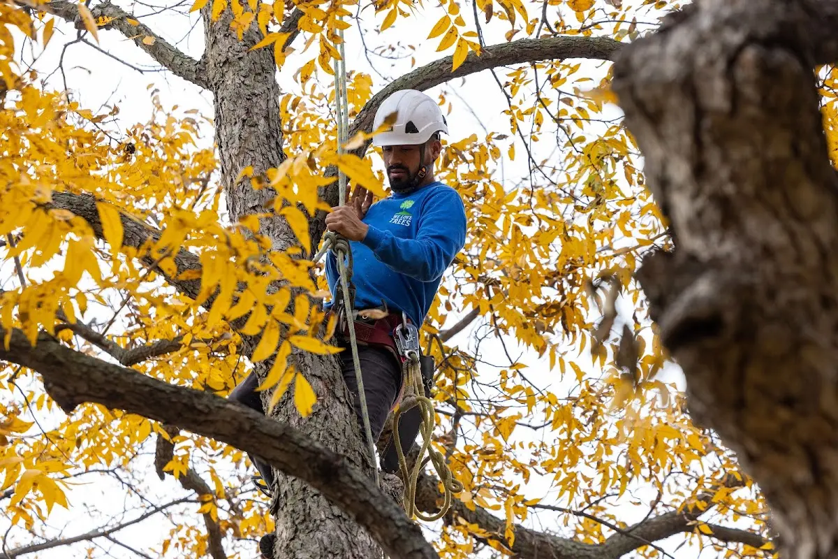 Skilled Storm Damage Cleanup crew working in Shawnee